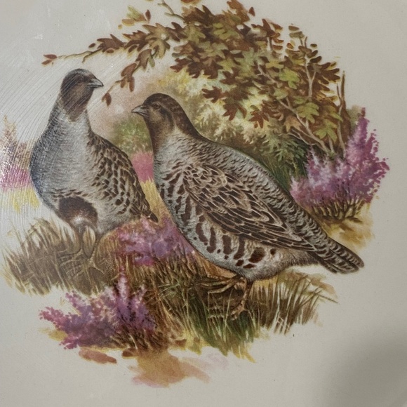 Vintage Lord Nelson Pottery Quails ceramic plate - Picture 7 of 15
